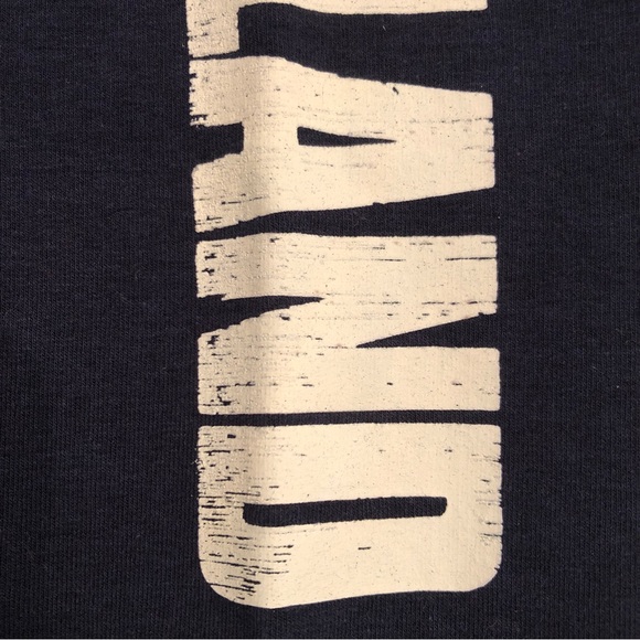 Navy NFL Team Apparel New England Patriots Half-Zip Pullover Sweatshirt, M/M - Picture 9 of 12